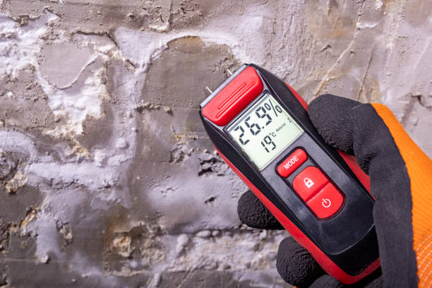 Best Affordable Mold Removal  in Hemlock Farms, PA