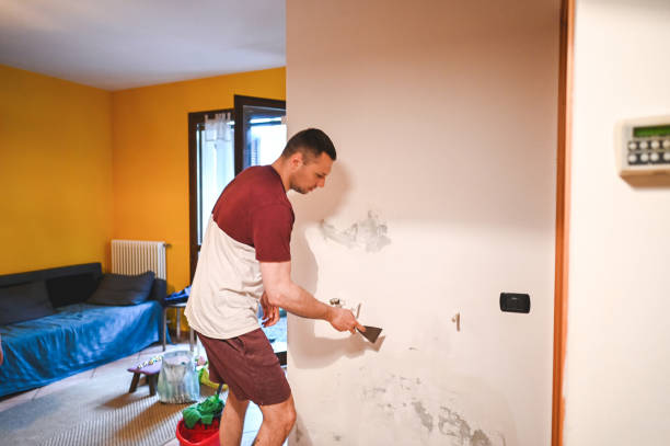 Best Certified Mold Removal  in Hemlock Farms, PA